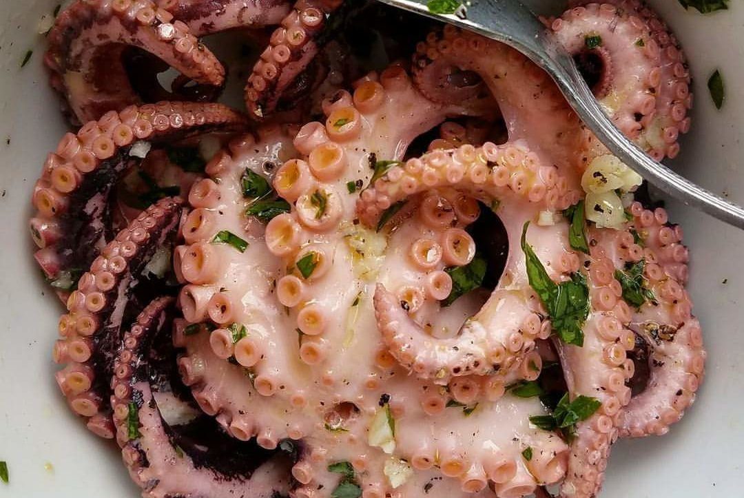 Octopus